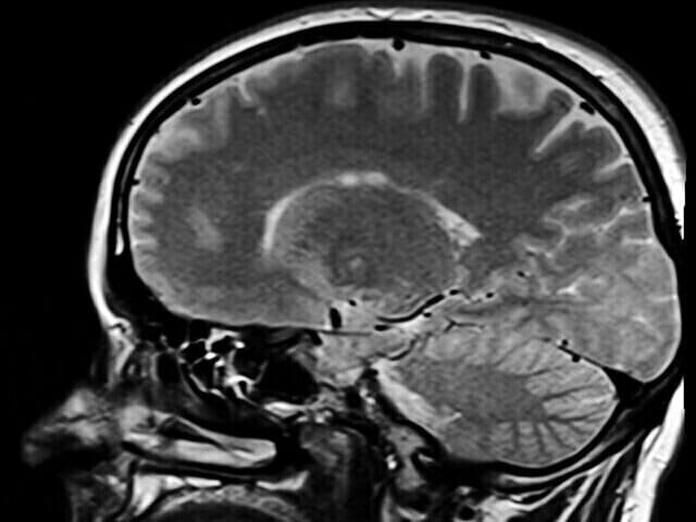 Houston Texas Lawyer