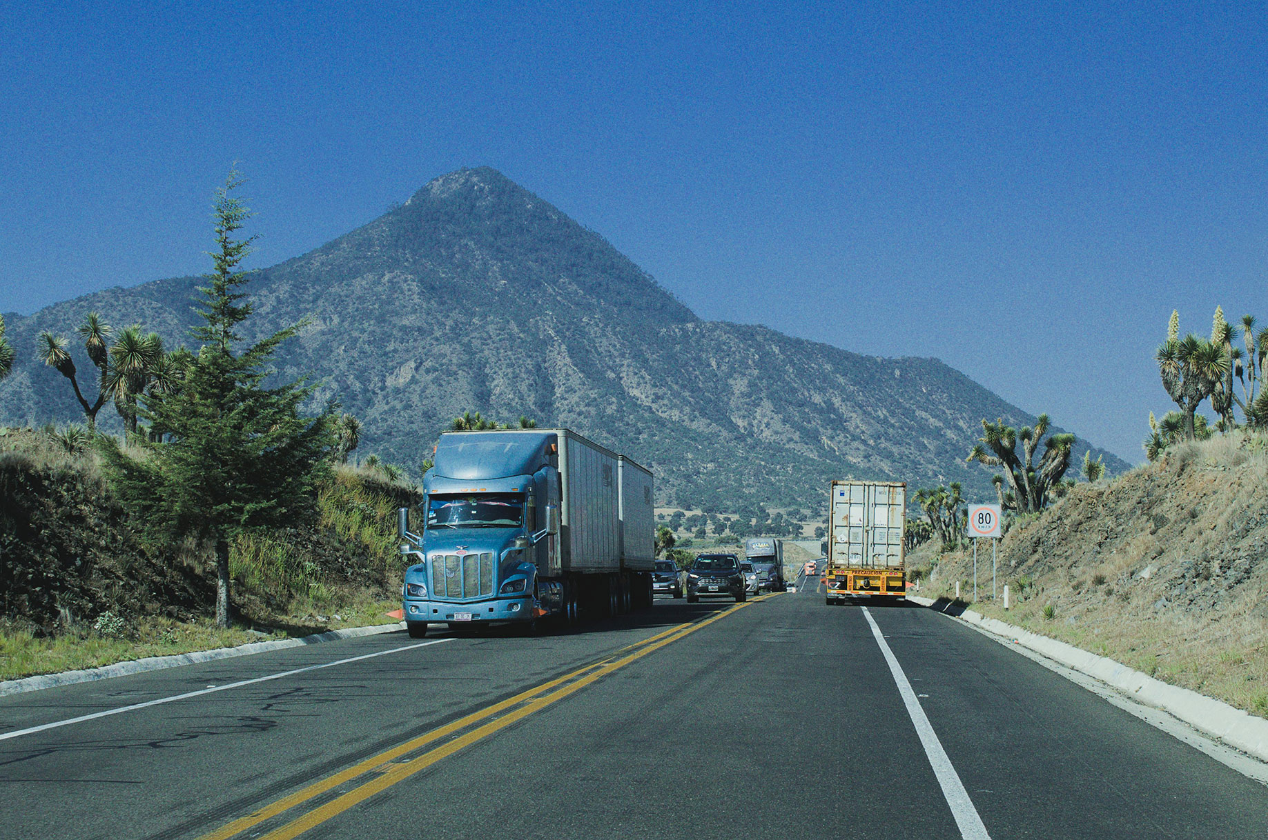 Houston Texas Lawyer