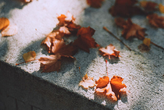 Houston Texas Lawyer